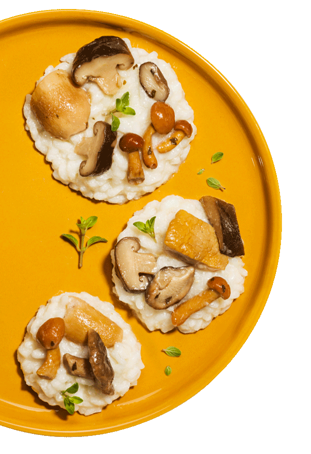 funghi-piatti-ricette-i-fuori-di-busta-desktop