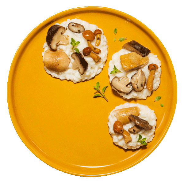 funghi-piatti-ricette-i-fuori-di-busta-mobile