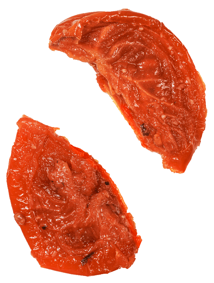 pomodori-semisecchi-i-fuori-di-busta